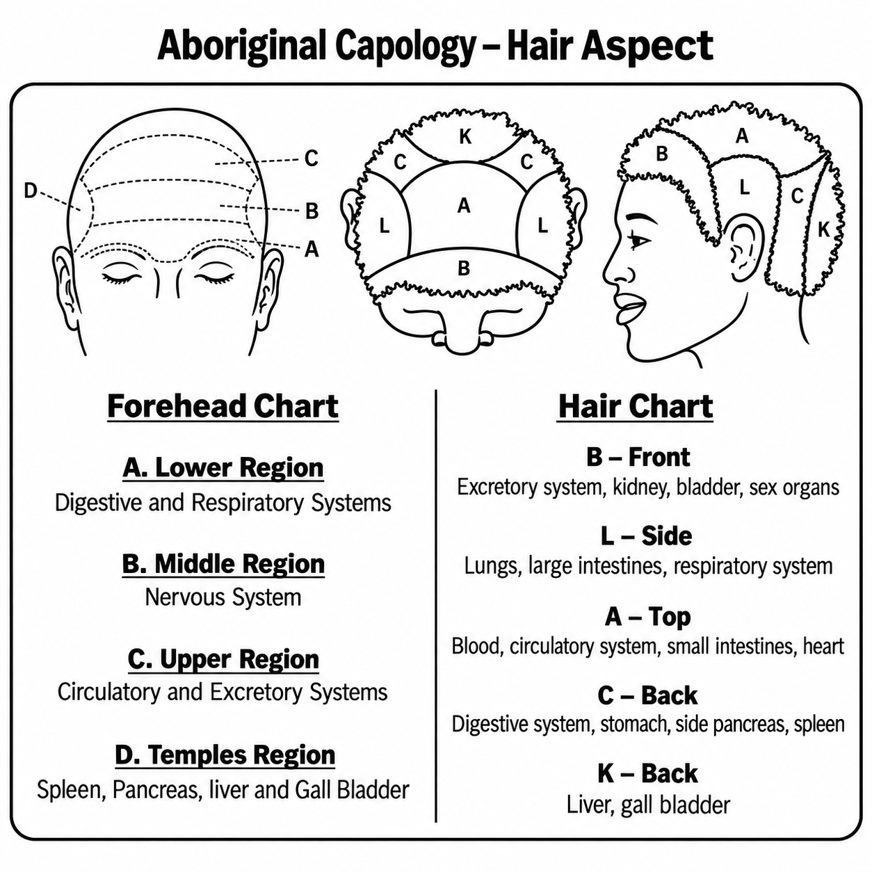 Aboriginal Capology — Forehead and Hair Chart