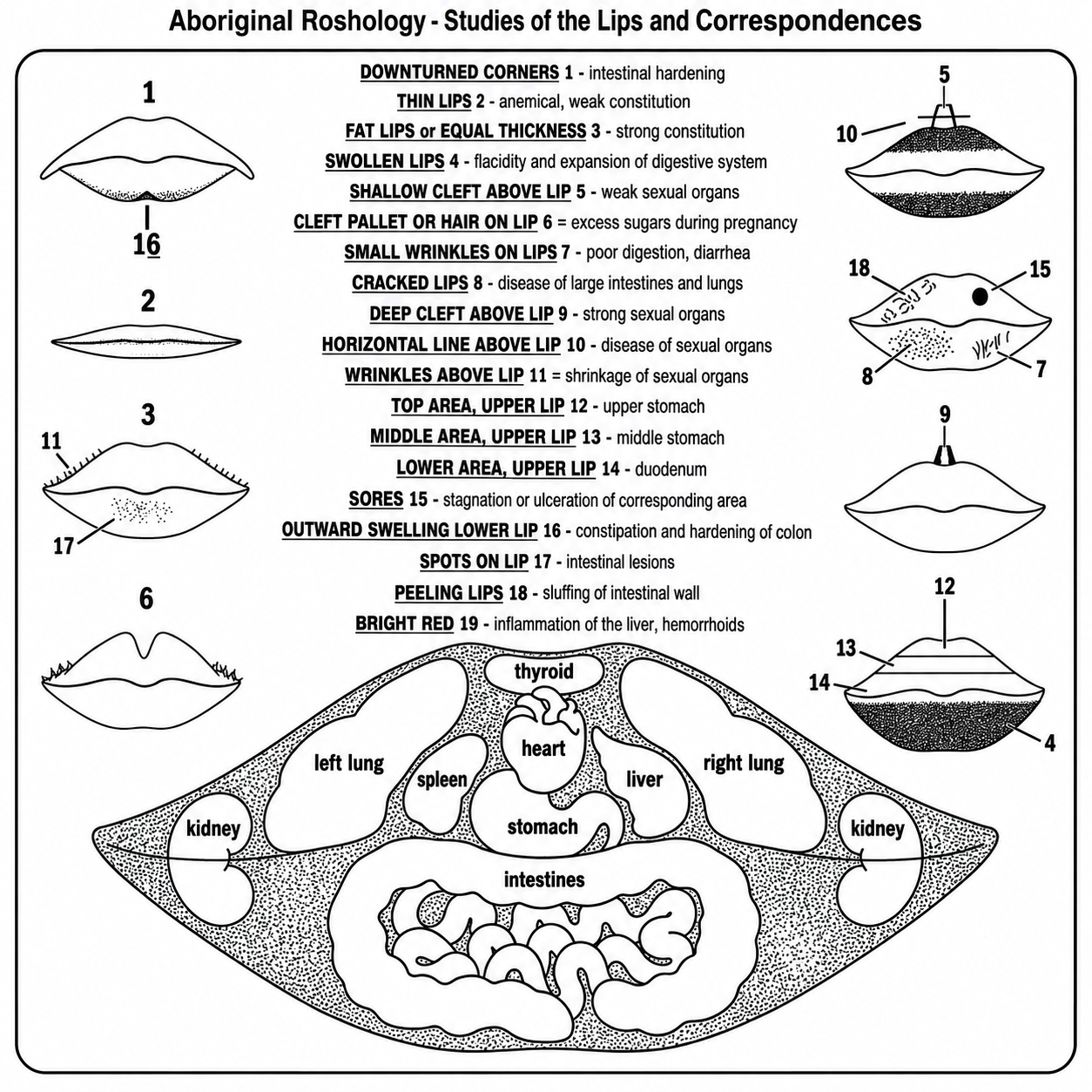 Aboriginal Roshology — Studies of the Lips